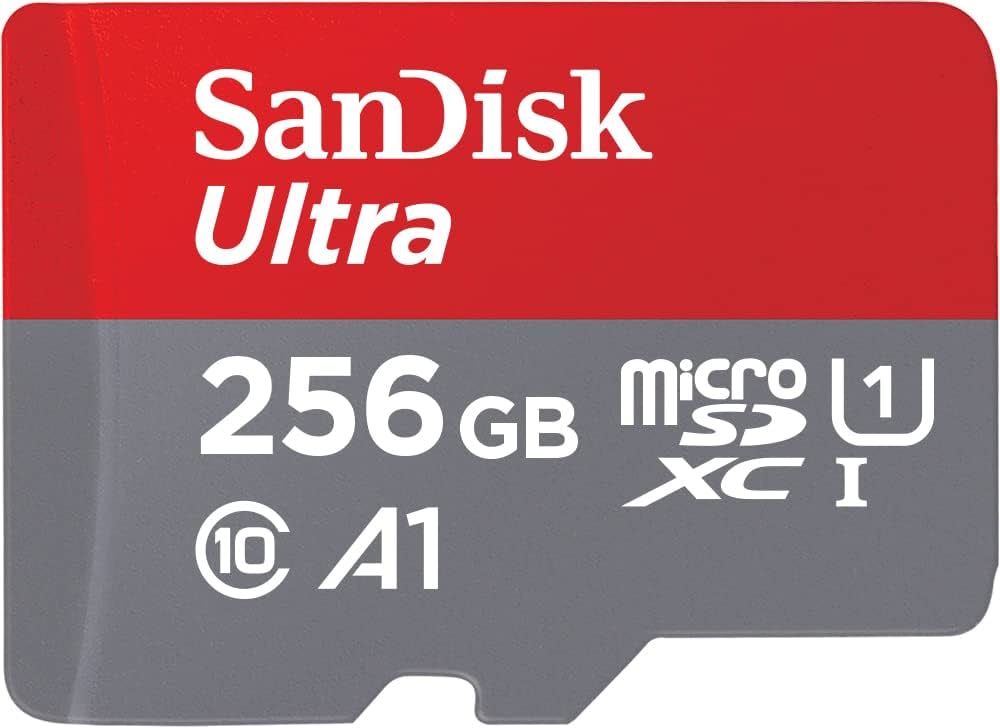 SanDisk micro SD card 256gb class 10 - MicroSDXC256